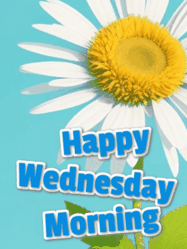 Happy Wednesday GIF, number 105