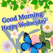 Good Morning and Happy Wednesday