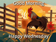 Happy Wednesday GIF, number 5