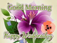 Happy Wednesday GIF, number 55