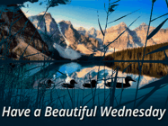 Happy Wednesday GIF, number 76