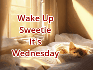 Happy Wednesday GIF, number 97