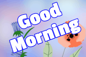 Good Morning Flower GIF 4