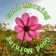 good morning flowers gif 9