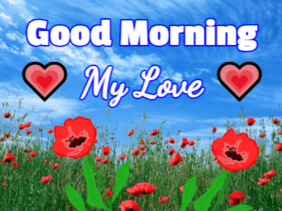 Good Morning My Love Gifs 10