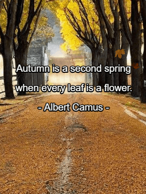 Autumn Quotes GIF, autumn-1 @ Editable GIFs,Albert Camus on Autumn Leaves