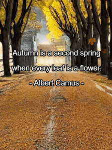 GIF: Albert Camus on Autumn Leaves