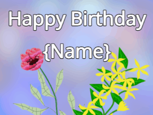 Happy Birthday GIF:Happy Birthday Flower GIF red & yellow on a blue
