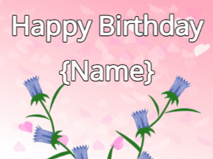 Happy Birthday GIF:Happy Birthday Flower GIF tulips & tulips on a pink