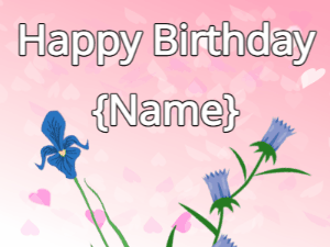 Happy Birthday GIF:Happy Birthday Flower GIF iris & tulips on a pink