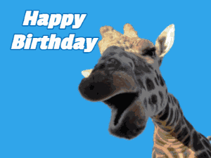 Giraffe says birthday name