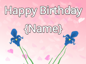 Happy Birthday GIF:Happy Birthday Flower GIF iris & iris on a pink