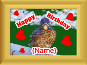 Happy Birthday GIF:Birthday picture: bird happy faces red cursive