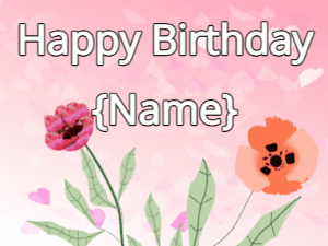 Happy Birthday GIF:Happy Birthday Flower GIF red & poppy on a pink