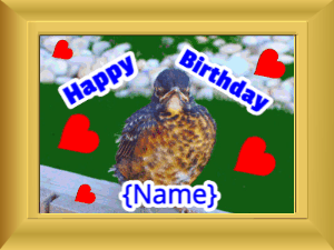 Happy Birthday GIF:Birthday picture: bird happy faces blue cursive