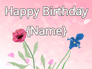 Happy Birthday GIF:Happy Birthday Flower GIF red & iris on a pink