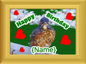 Happy Birthday GIF:Birthday picture: bird happy faces green cursive