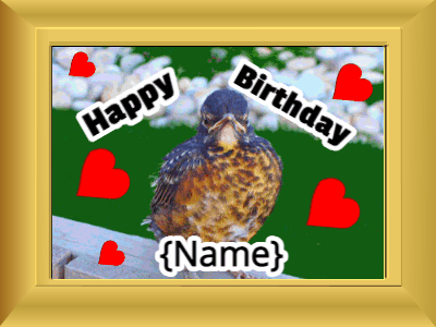 Happy Birthday, birthday-20704 @ Editable GIFs,Birthday picture: bird happy faces #c200ff cursive