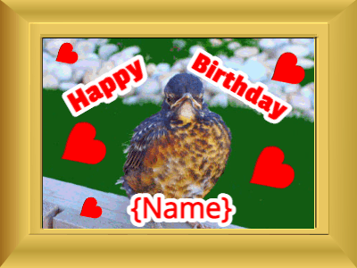 Happy Birthday, birthday-21104 @ Editable GIFs,Birthday picture: bird flowers red cursive