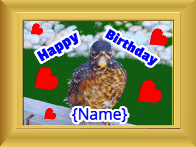 Happy Birthday, birthday-21504 @ Editable GIFs,Birthday picture: bird flowers blue cursive