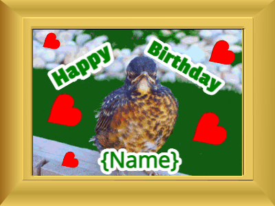 Happy Birthday, birthday-21904 @ Editable GIFs,Birthday picture: bird flowers green cursive