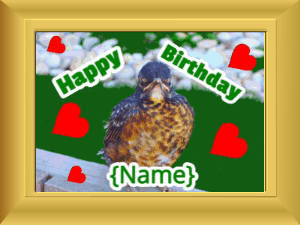 Happy Birthday GIF:Birthday picture: bird flowers green cursive