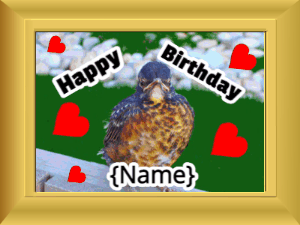 Happy Birthday GIF:Birthday picture: bird flowers #c200ff block
