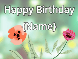 Happy Birthday GIF:Happy Birthday Flower GIF poppy & red on a green