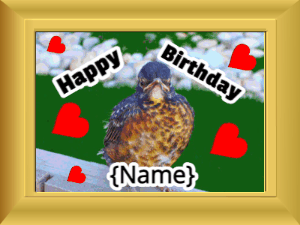 Happy Birthday GIF:Birthday picture: bird hearts #c200ff cursive