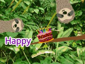 Jungle sloths happy birthday