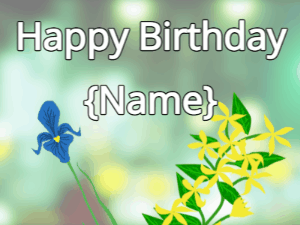Happy Birthday GIF:Happy Birthday Flower GIF iris & yellow on a green