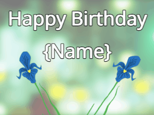 Happy Birthday GIF:Happy Birthday Flower GIF iris & iris on a green
