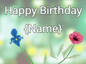 Happy Birthday GIF:Happy Birthday Flower GIF iris & red on a green