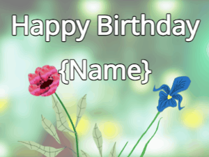 Happy Birthday GIF:Happy Birthday Flower GIF red & iris on a green