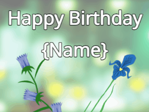 Happy Birthday GIF:Happy Birthday Flower GIF tulips & iris on a green