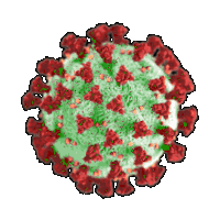GIF: Rotating Coronavirus