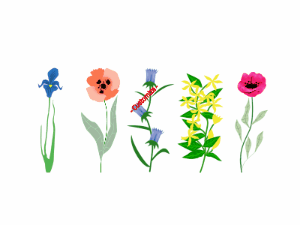 GIF: Flowers in a row with message