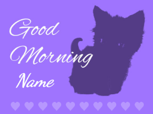GIF: Morning Purple Hearts Kitty
