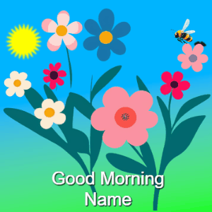 Good Morning GIF
