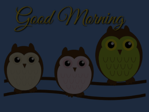 Good Morning GIF