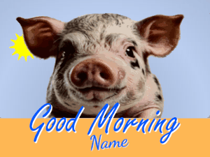 Customize Good Morning GIFs
