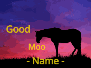 Good morning horse moos with sunrise