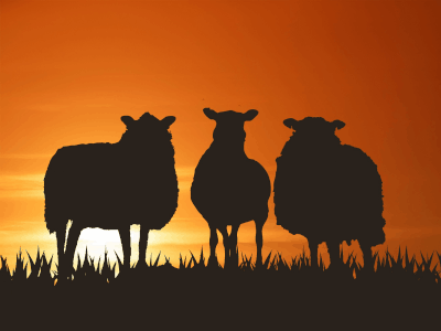 Good Morning GIF, good-morning-50 @ Editable GIFs,Silhouette sheep saying good morning with subtitles
