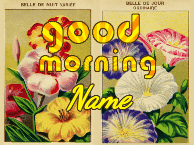 Good Morning GIF, good-morning-51 @ Editable GIFs, Good morning vintage flower seed packages
