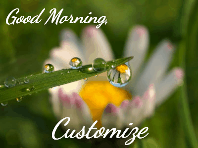 Good Morning GIF, good-morning-59 @ Editable GIFs,Morning dew and dandelions gif