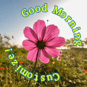 Good Morning GIF, good-morning-74 @ Editable GIFs, Good Morning Cosmos Flower GIF