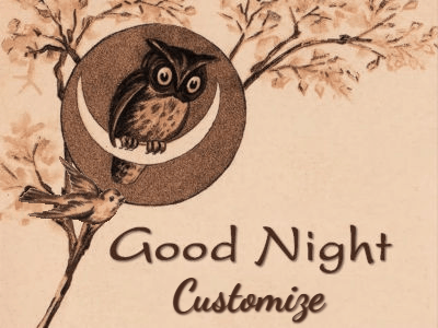 Good Night GIF, good-night-18 @ Editable GIFs,Owl and Bird