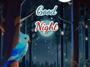 Customize Good Night GIFs