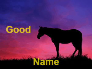 GIF: Good Night from a Horse