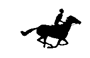 GIF: Horse Running